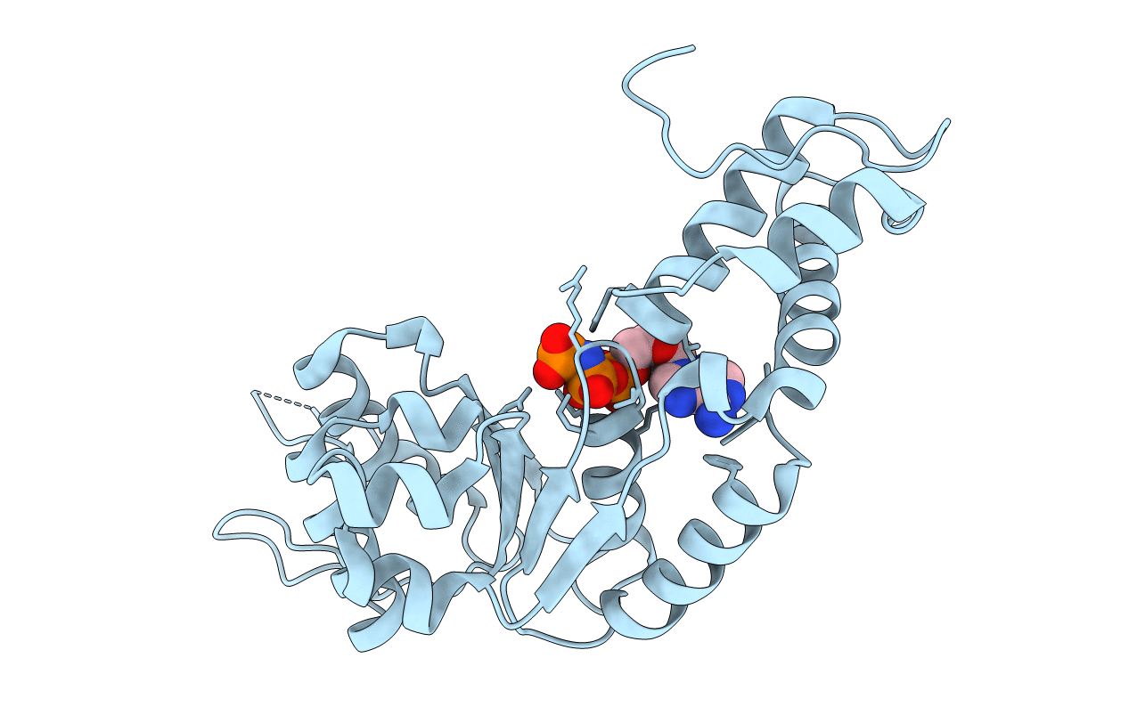 2C99 image