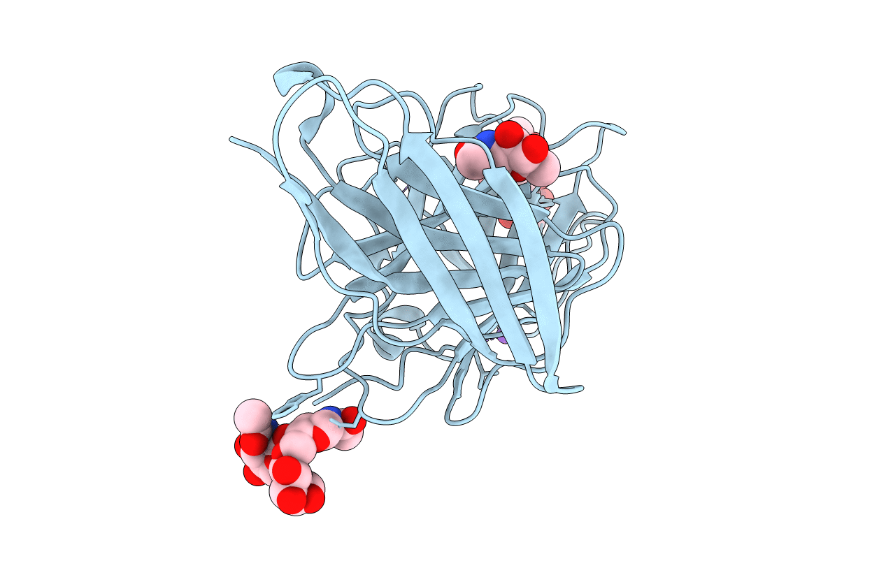 2C9A image