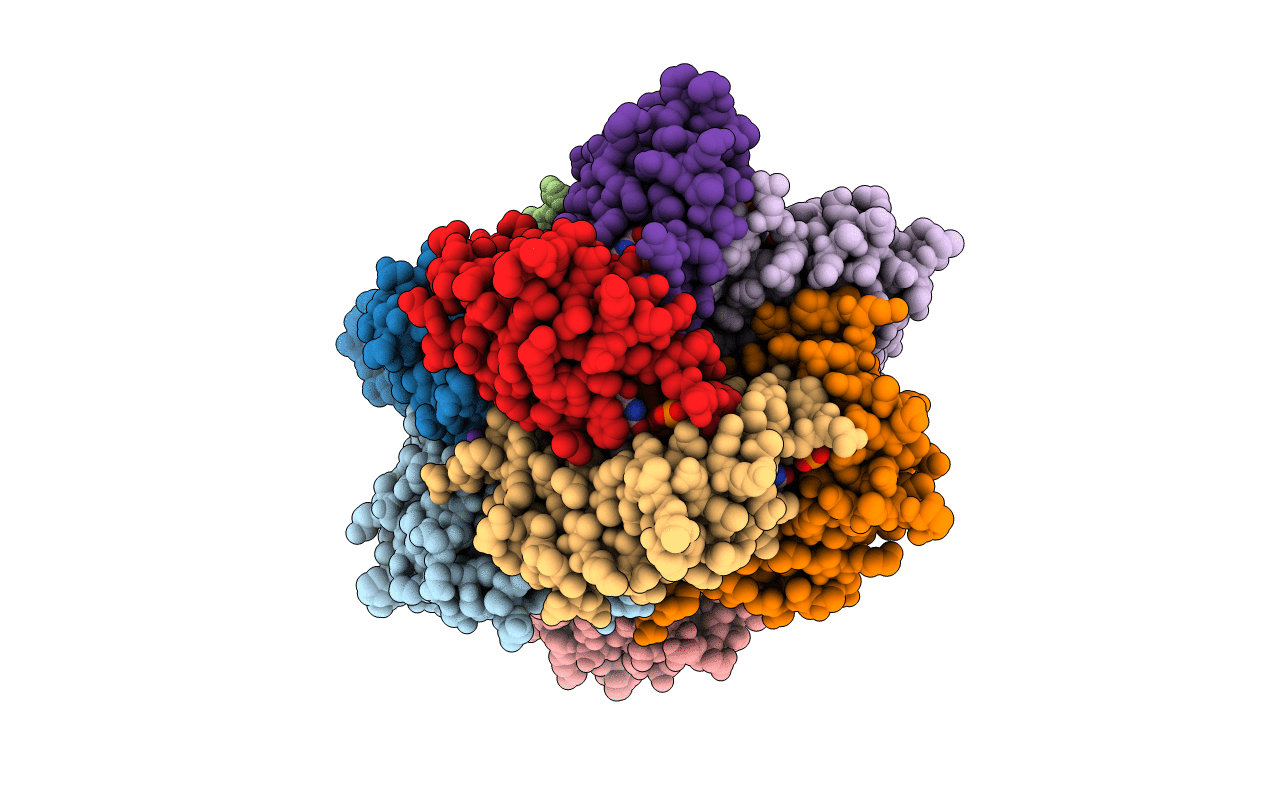 2C9B image