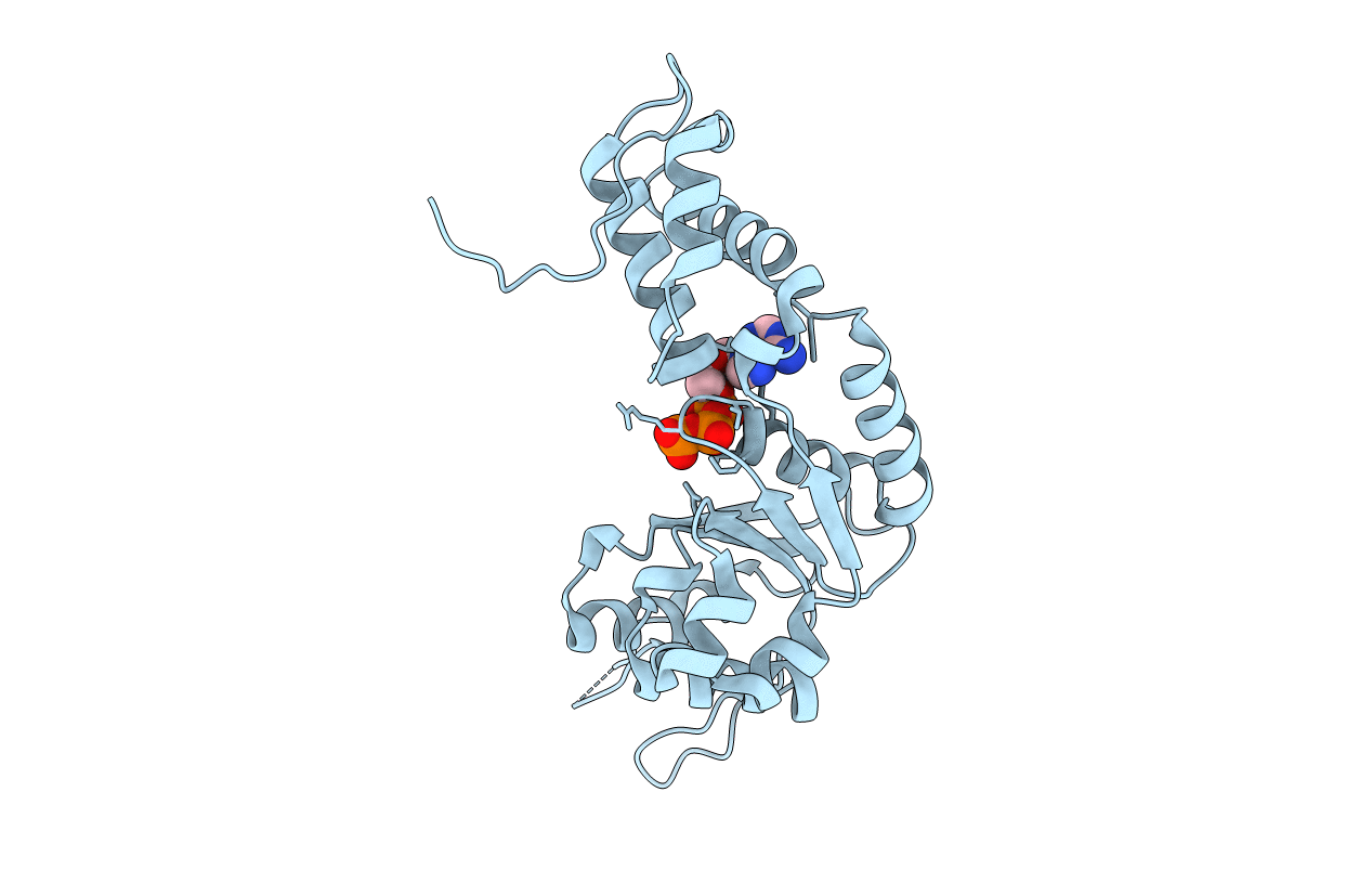 2C9C image