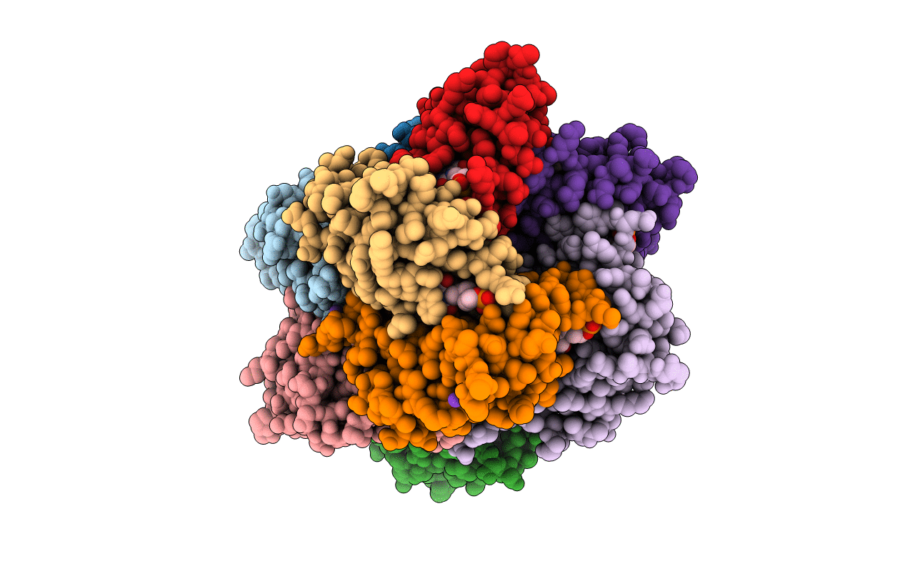2C9D image