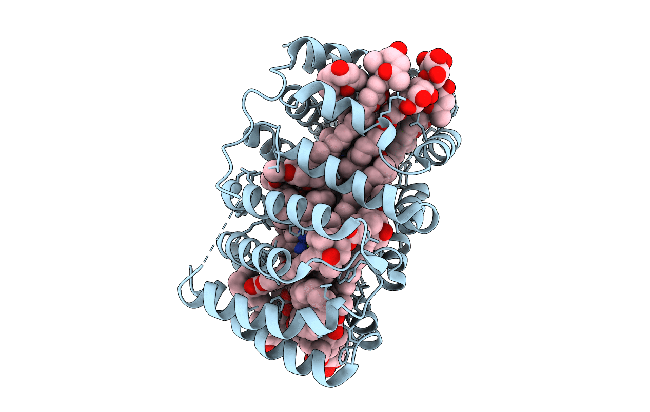 2C9E image