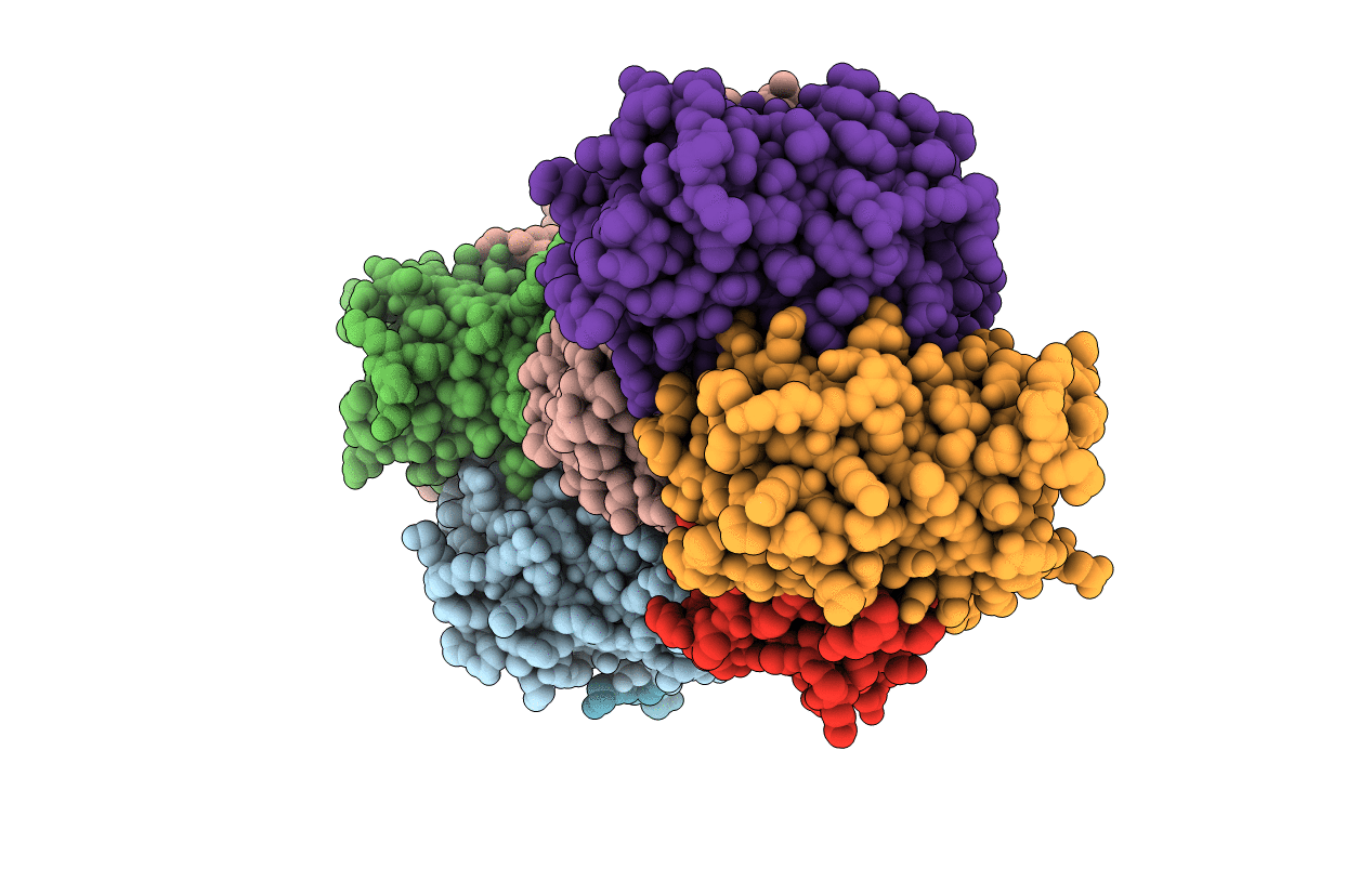 2C9J image