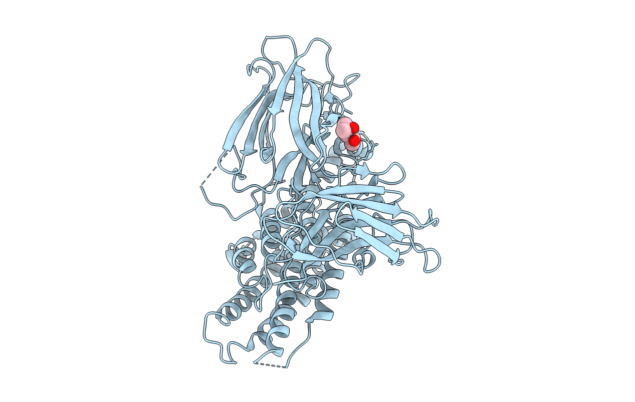 2C9K image