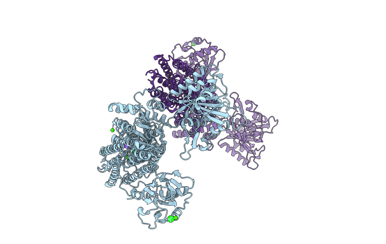 2C9M image