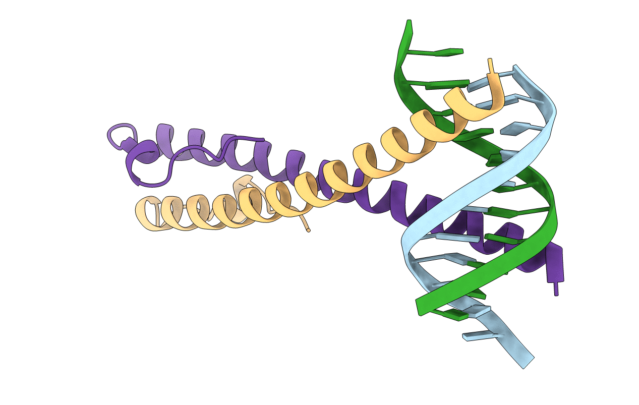 2C9N image