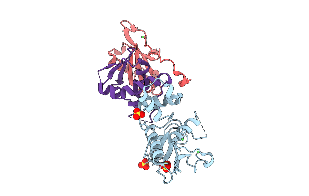 2C9W image