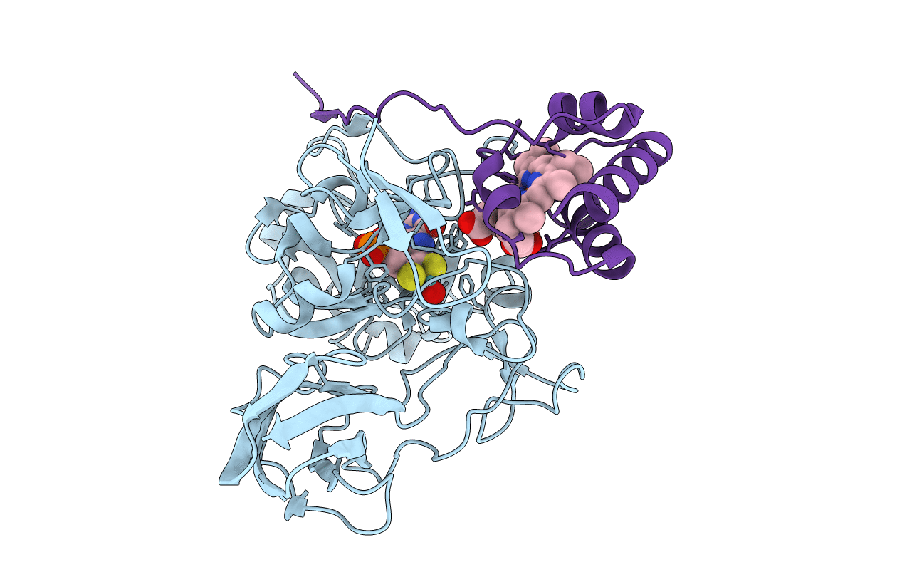 2C9X image