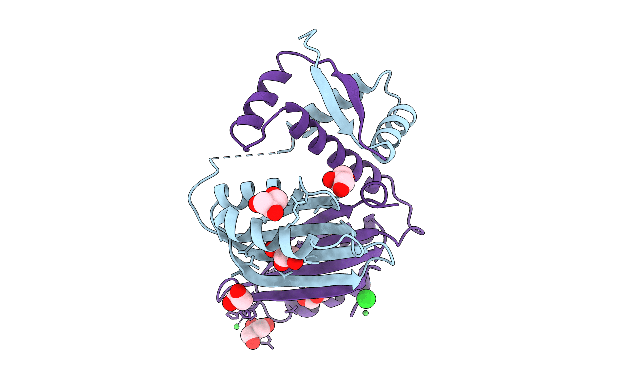 2CAJ image