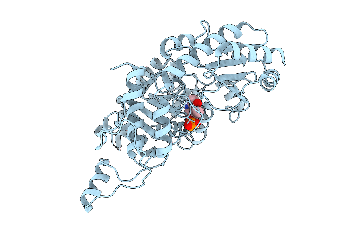 2CB1 image