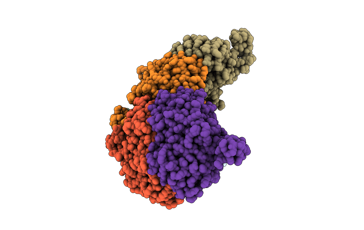 2CB2 image