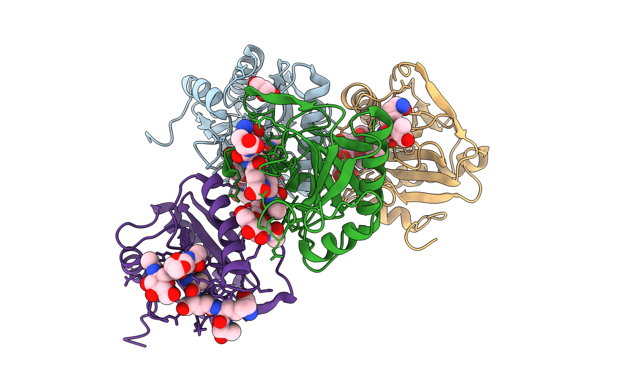 2CB3 image