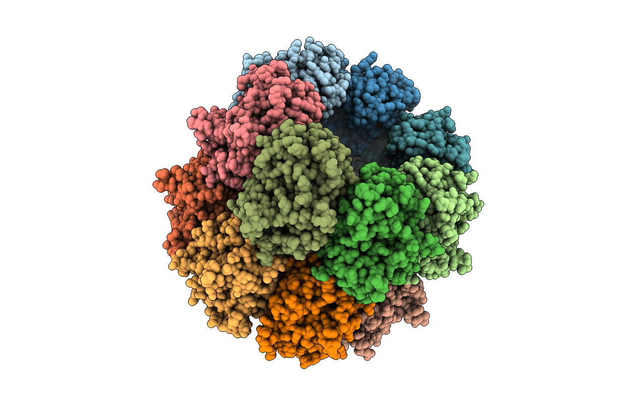 2CB4 image
