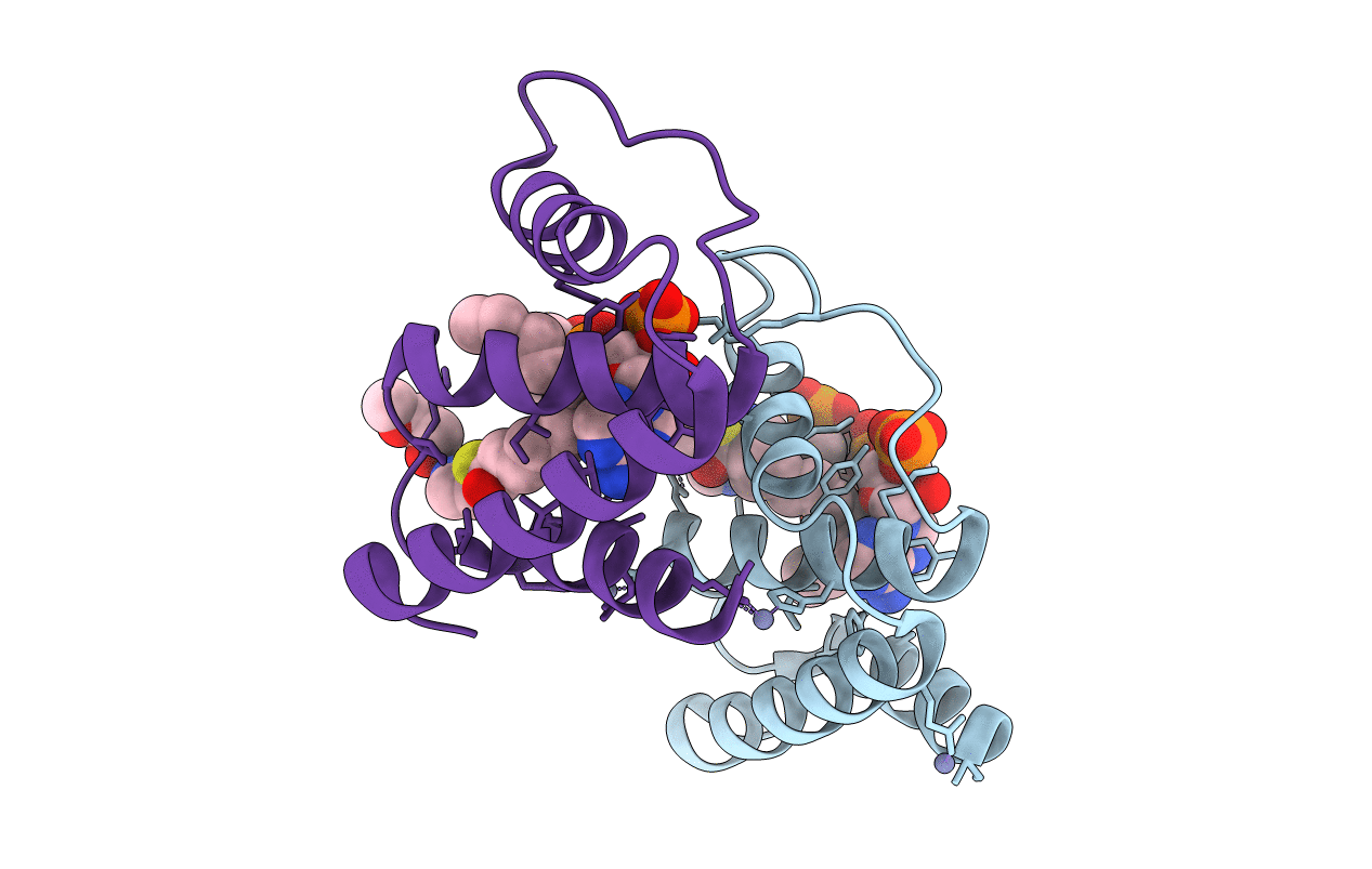 2CB8 image