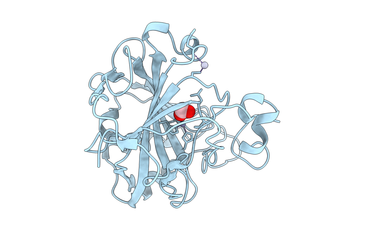 2CBC image