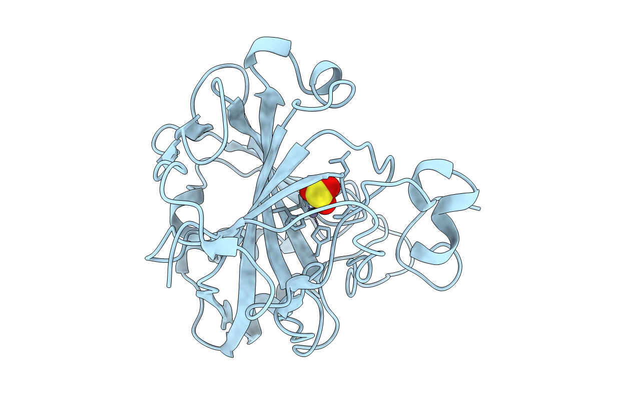2CBD image