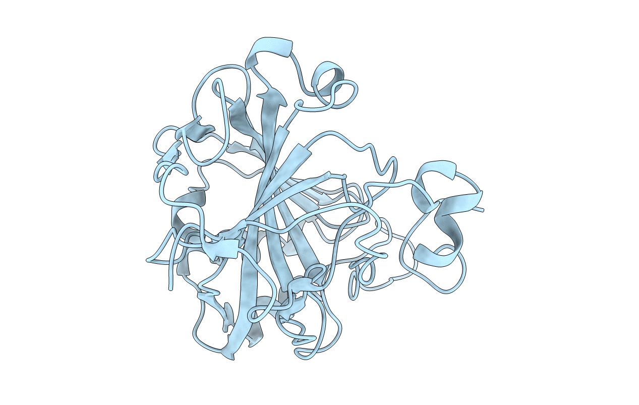 2CBE image