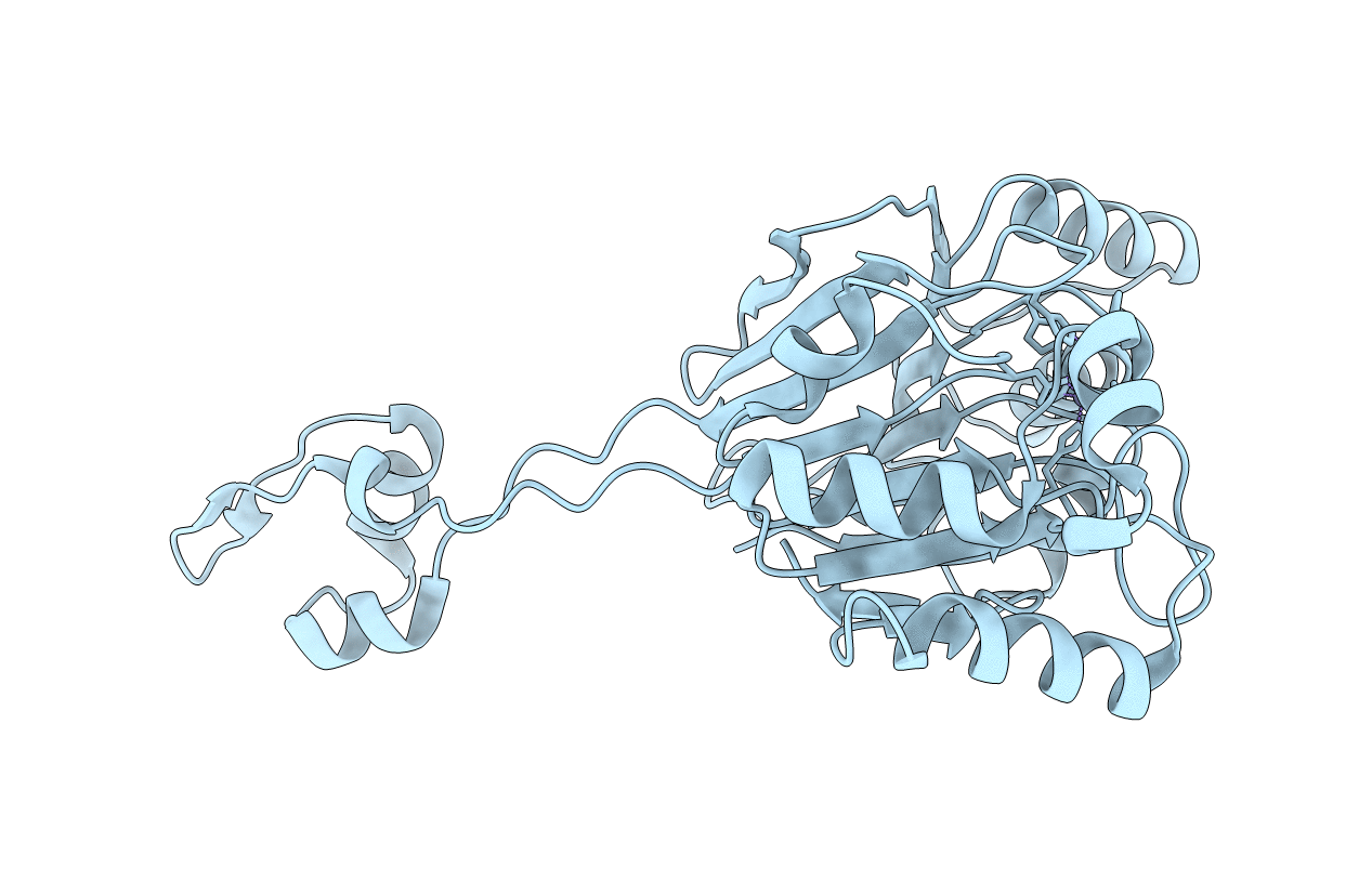 2CBN image