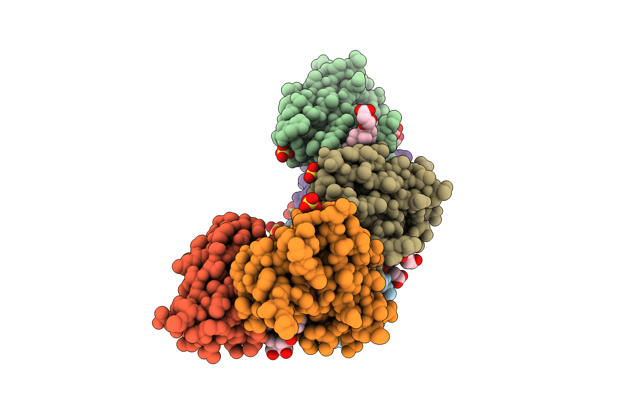 2CBQ image