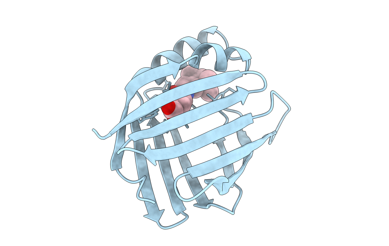2CBR image