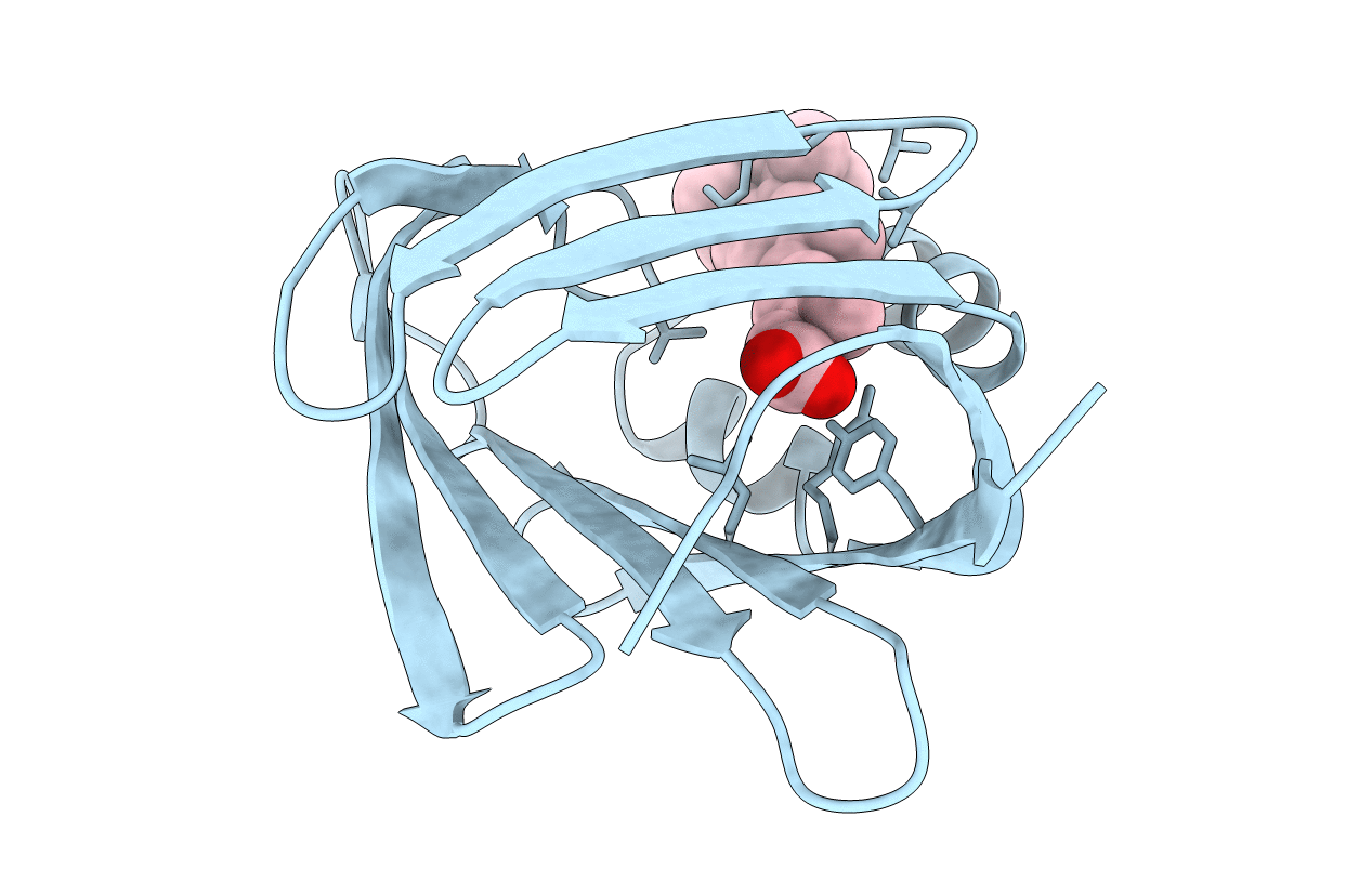 2CBS image