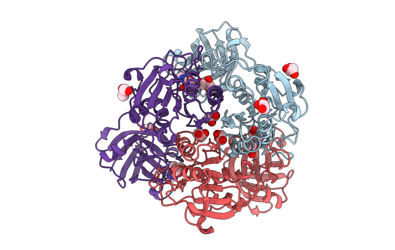 2CBX image