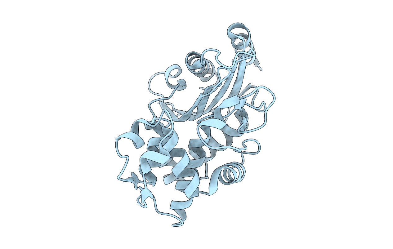 2CC1 image