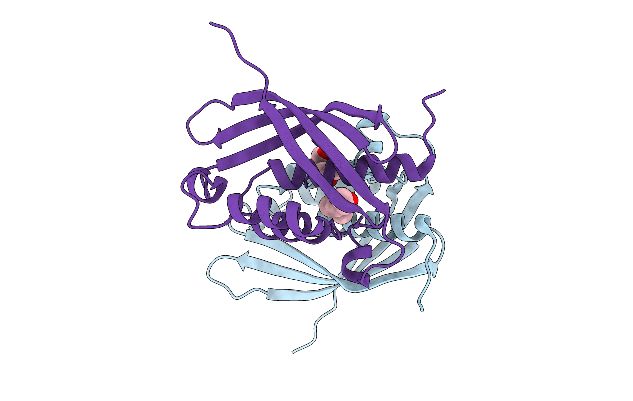 2CC3 image