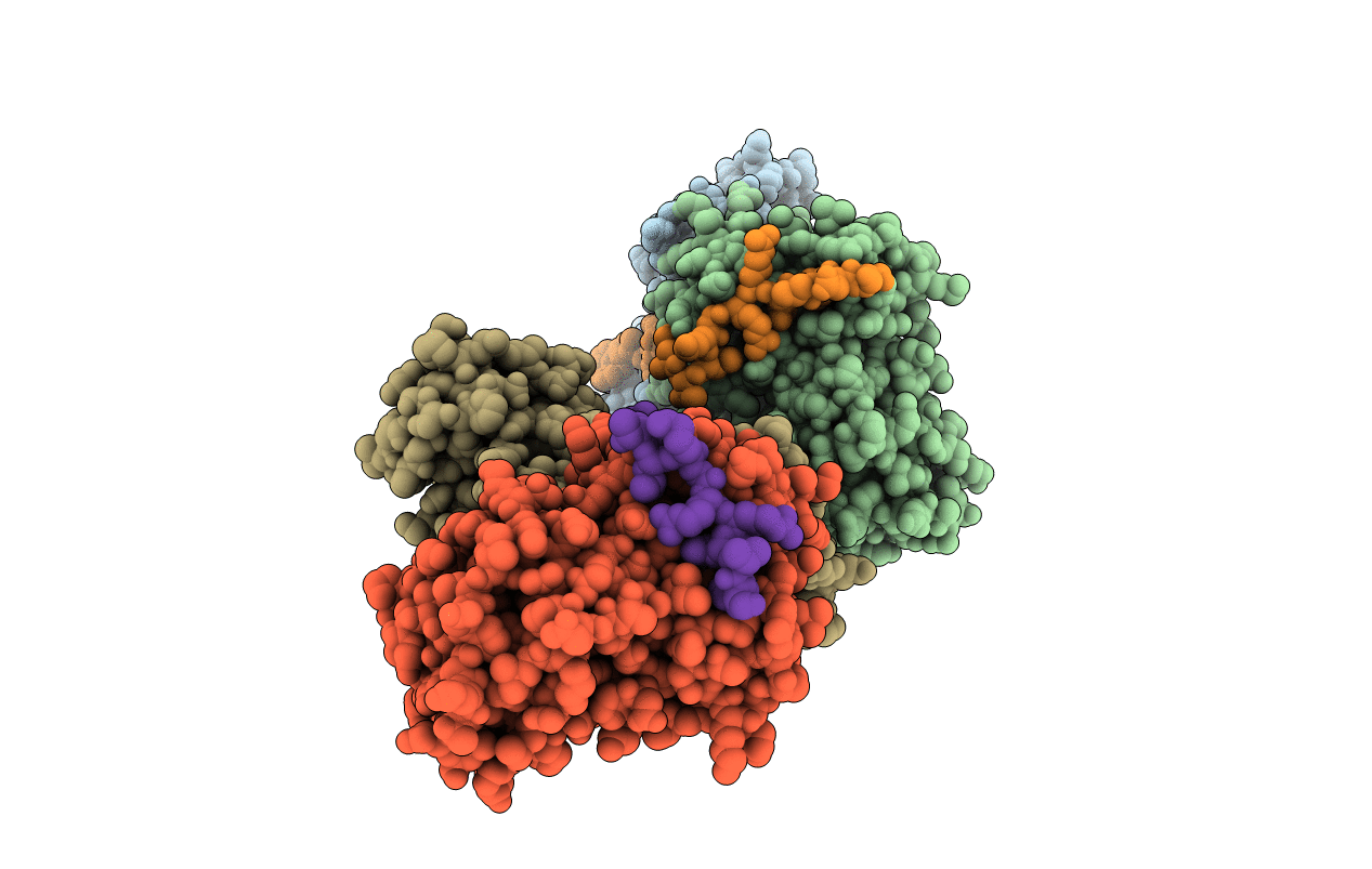 2CCI image