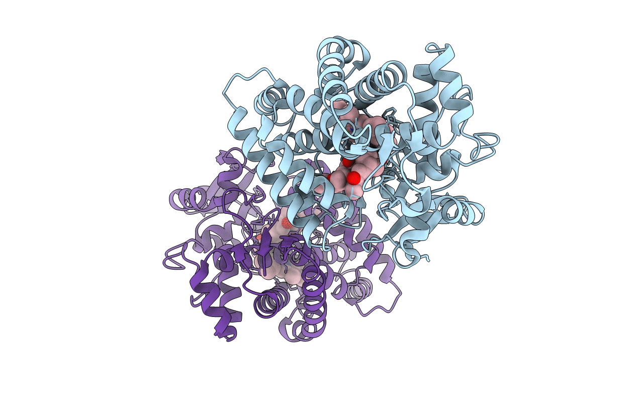 2CD8 image
