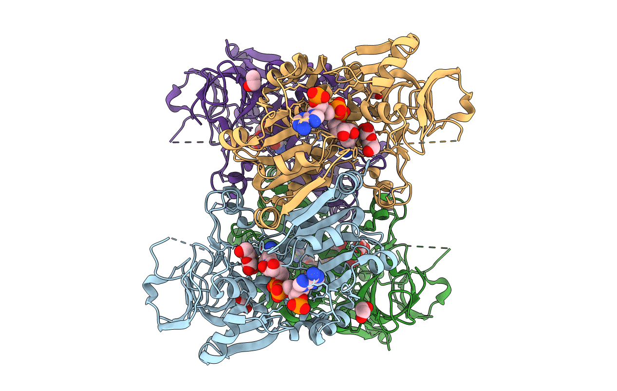 2CDB image