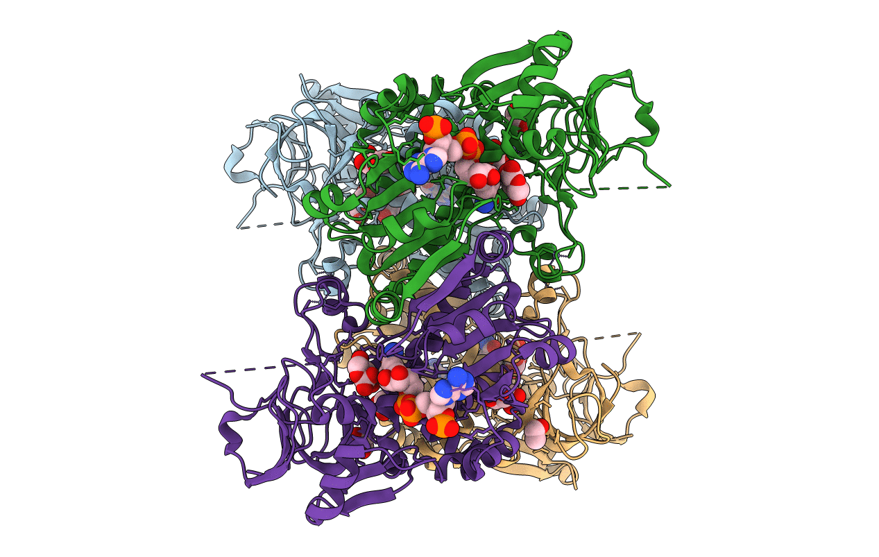 2CDC image