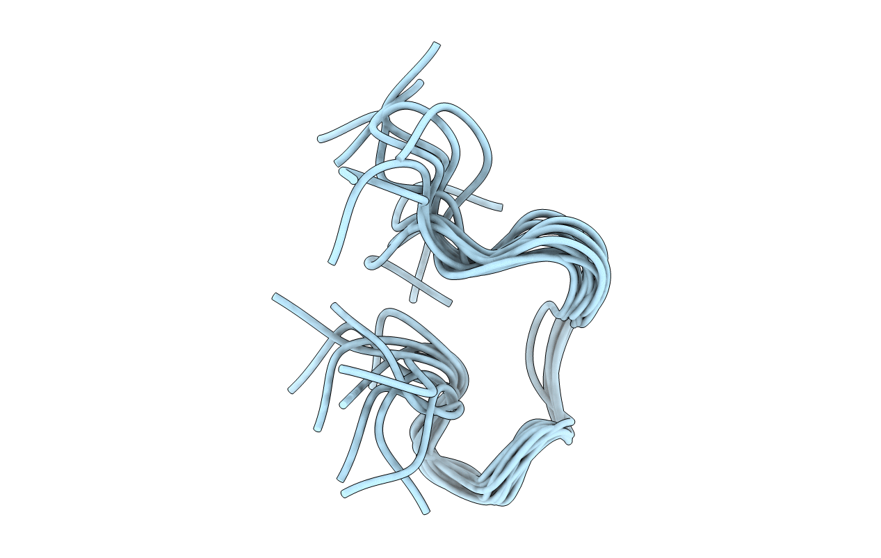 2CEF image