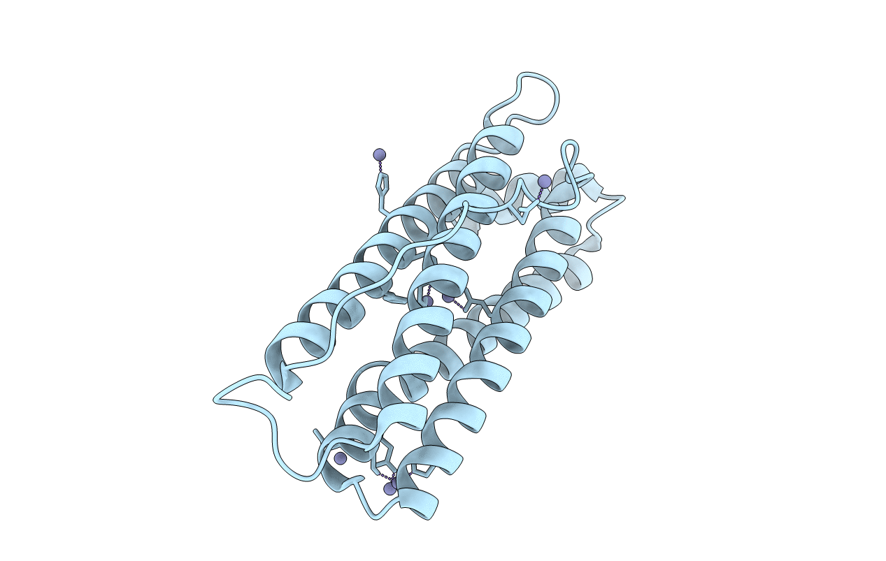2CEI image