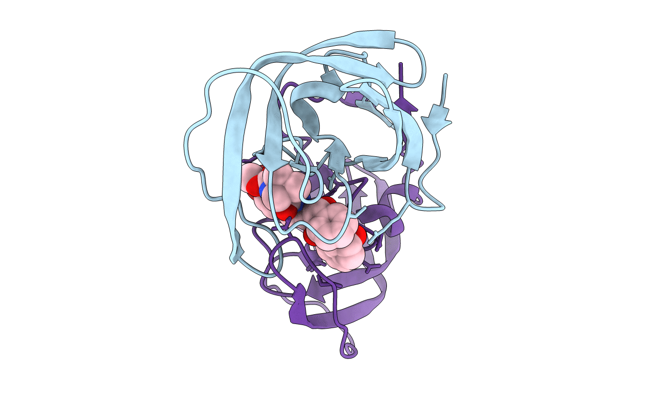 2CEJ image