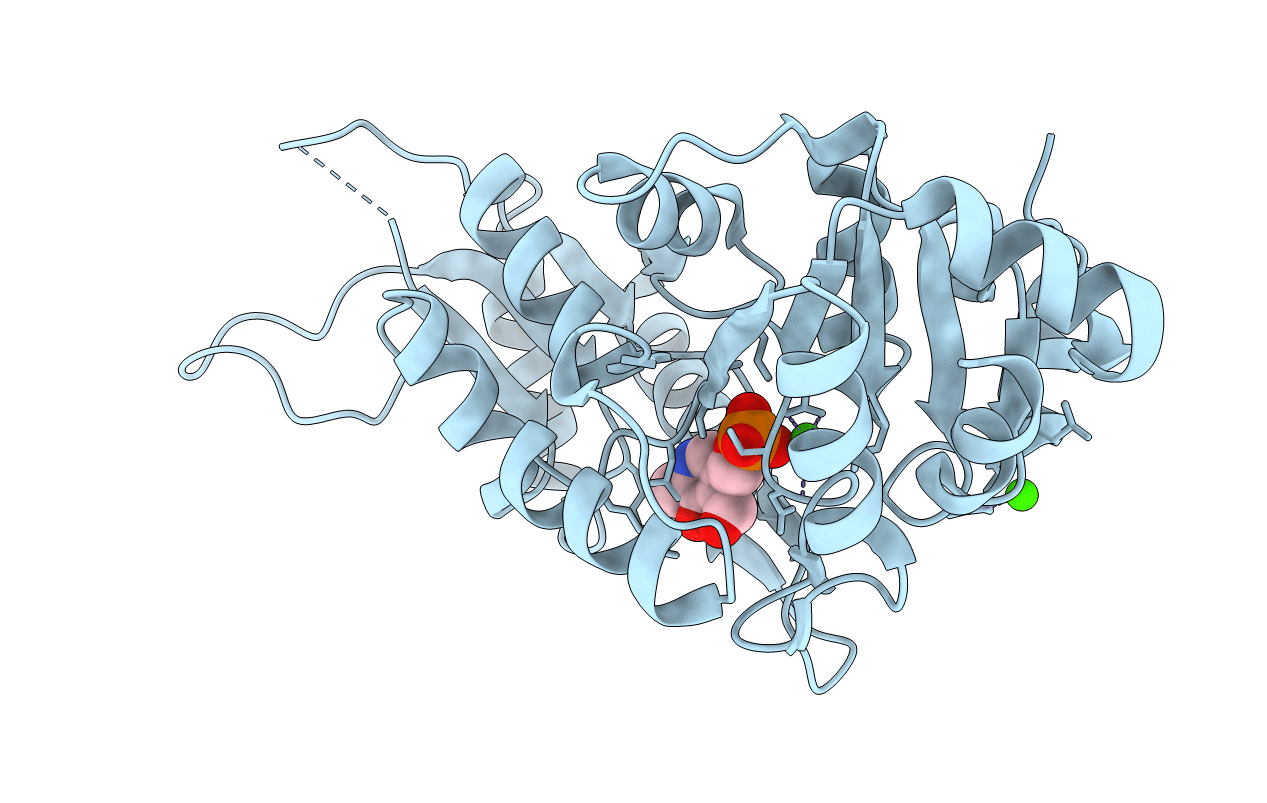 2CFT image