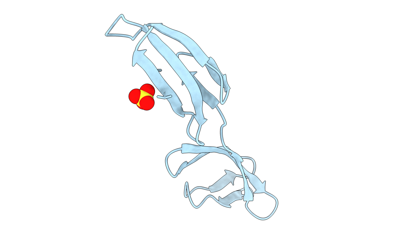 2CG6 image
