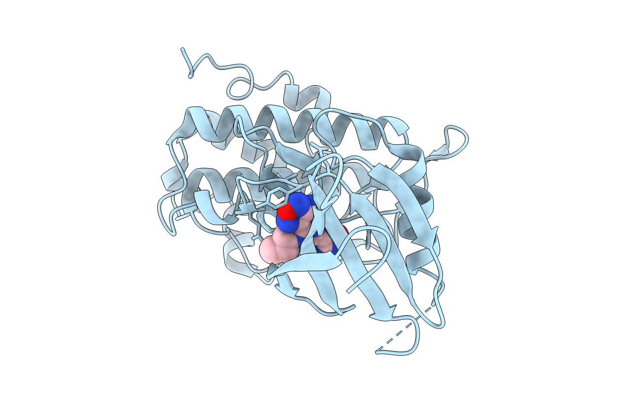 2CGW image