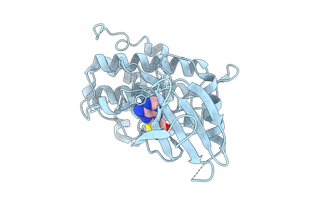 2CGX image