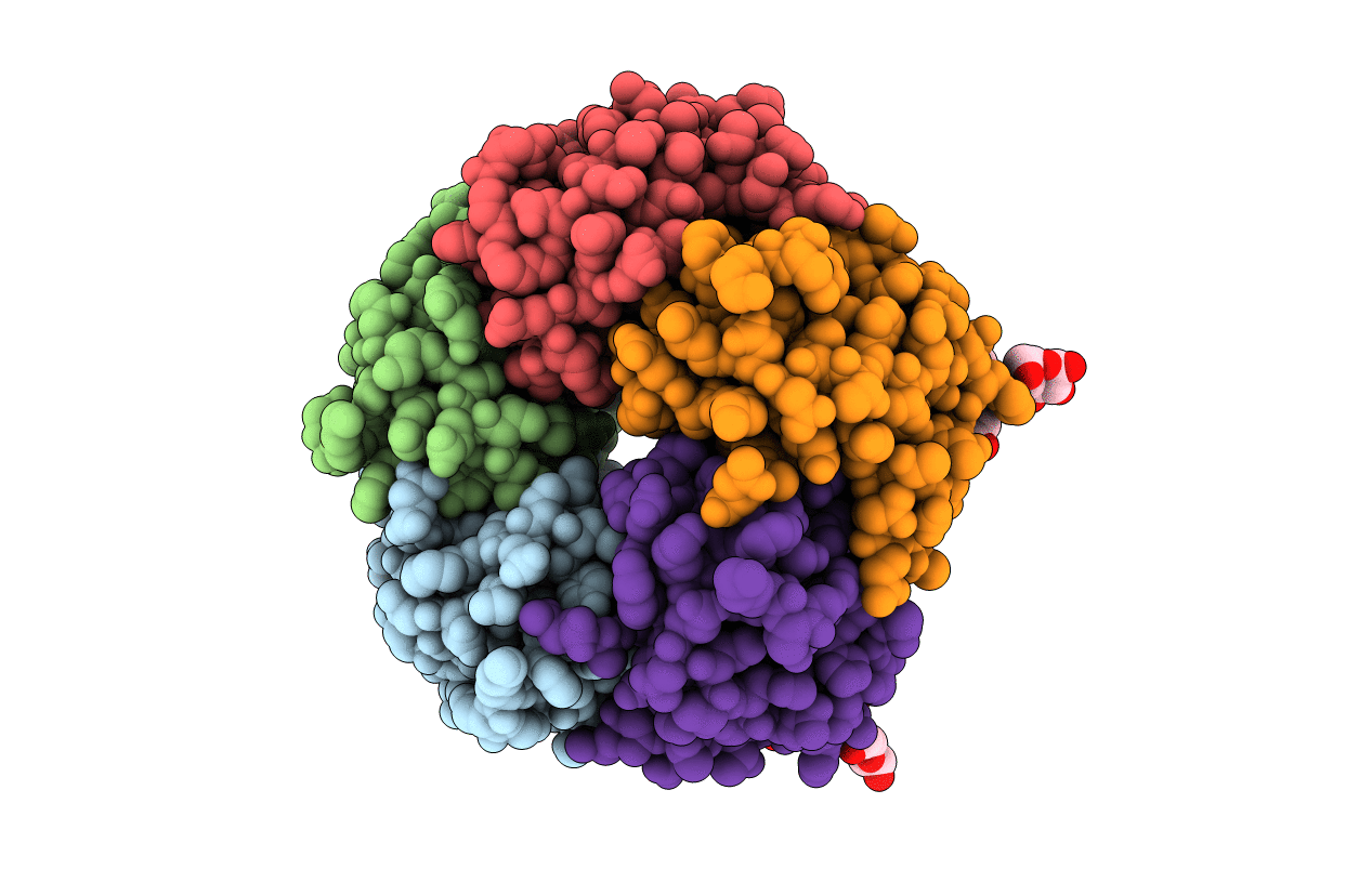 2CHB image
