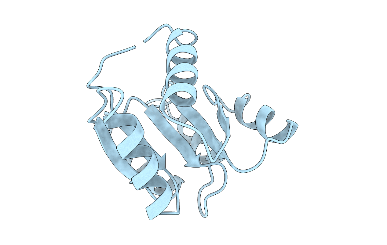 2CHF image
