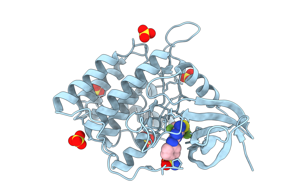 2CHL image