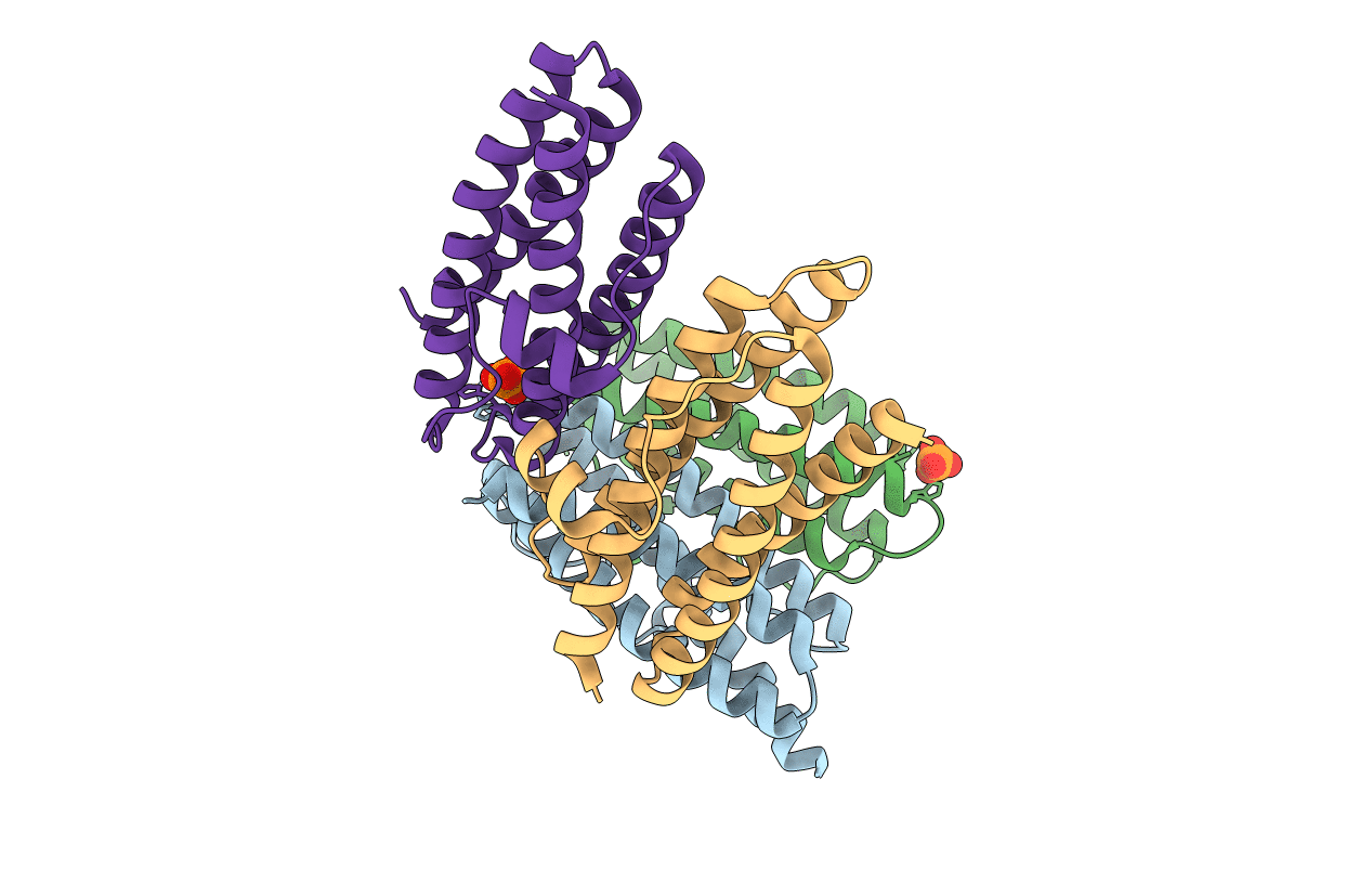 2CHP image