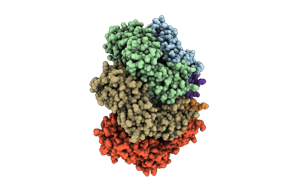 2CHV image