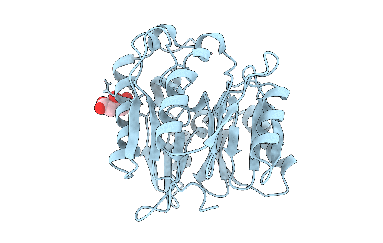 2CI1 image