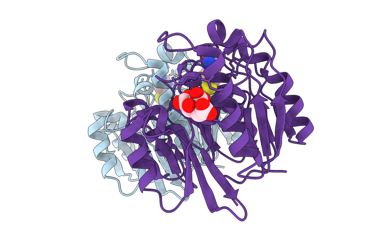 2CI5 image