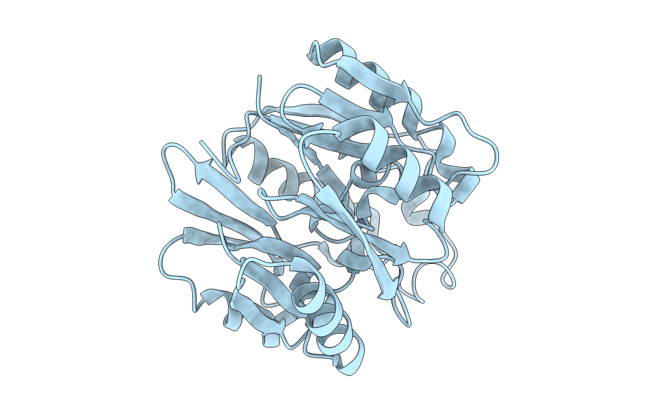 2CI6 image