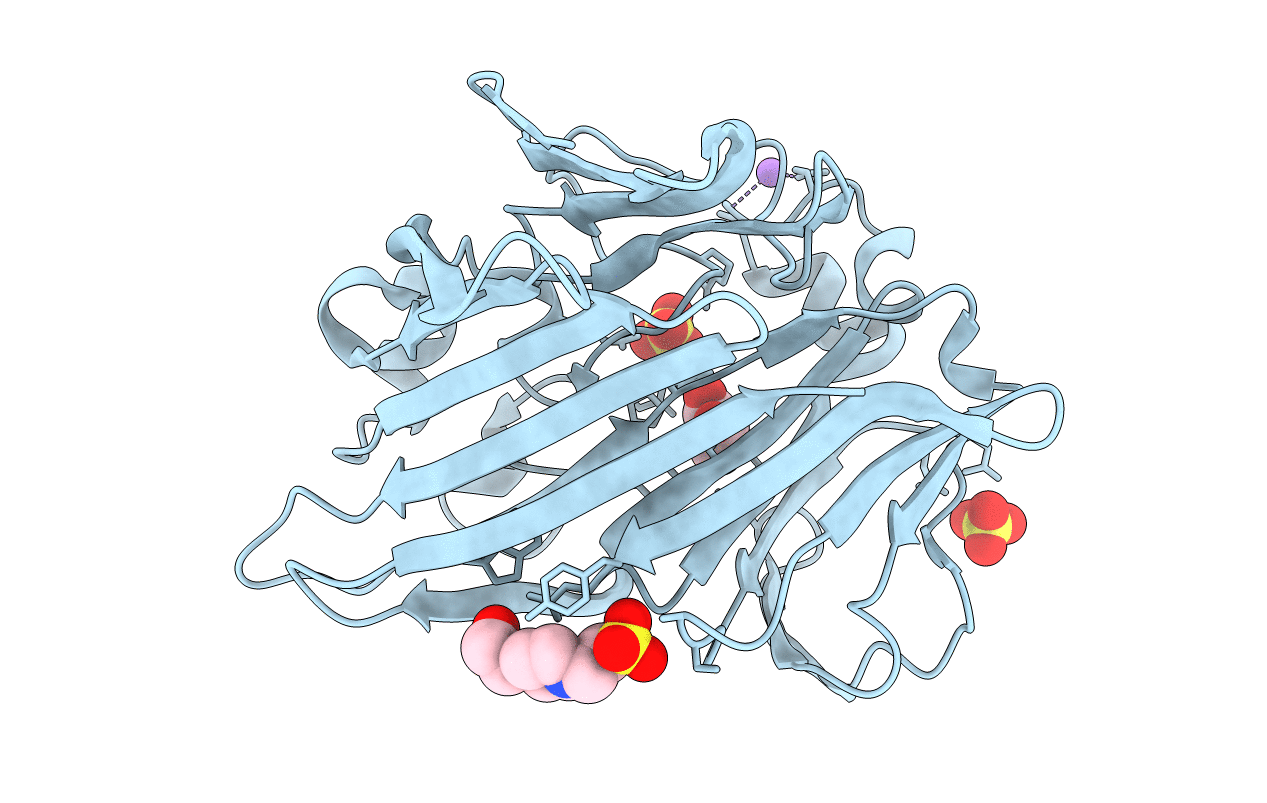 2CIQ image