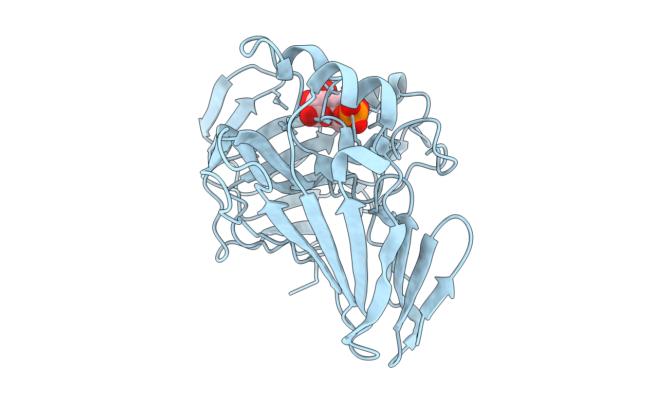 2CIR image