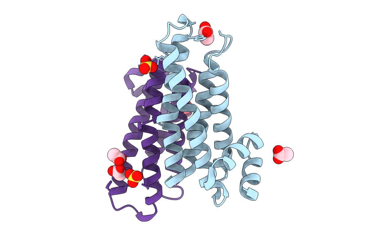 2CJ4 image